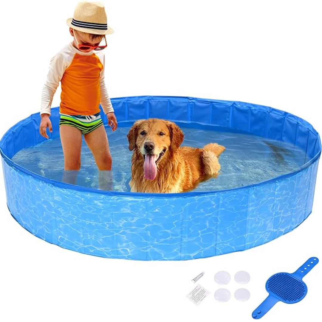 Piscina plegable para perros